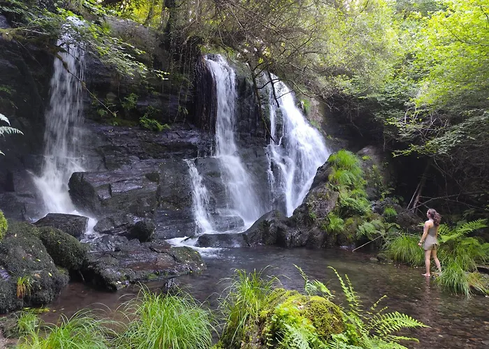 Fogar Dos Antigos Hotel
