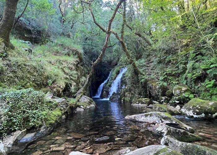 Fogar Dos Antigos Hotel *